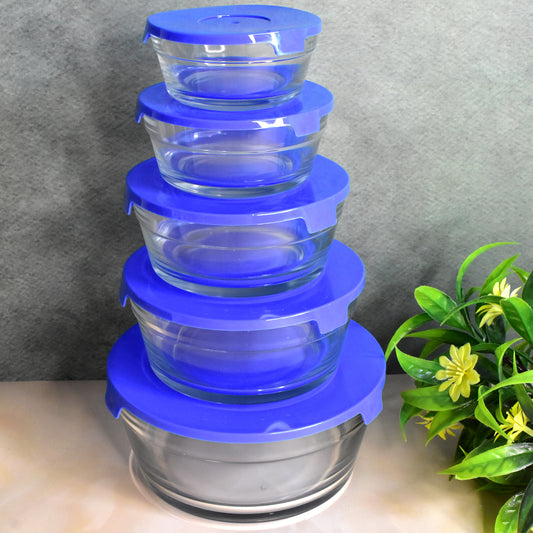 Modern Glass Bowl Set Mixing Storage Bowls With Lids (5 Pcs Set)