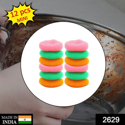 Plastic Scrubber Round Nylon Scrubbers (Pack Of 12)